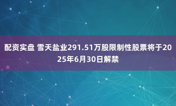 配资实盘 雪天盐业291.51万股限制性股票将于2025年6月30日解禁