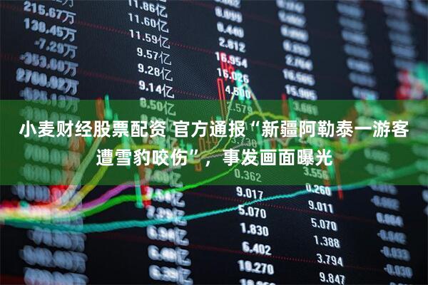 小麦财经股票配资 官方通报“新疆阿勒泰一游客遭雪豹咬伤”，事发画面曝光